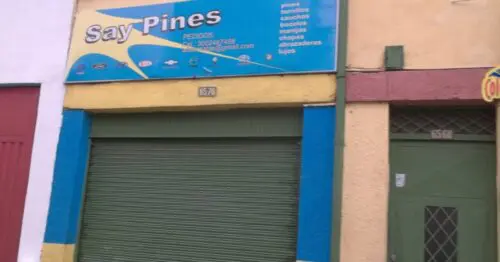 SAY PINES SAY PINES